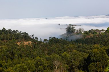 Bulut Misty Vadisi Hills manzara