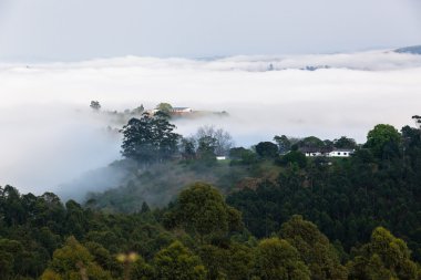 Bulut Misty Vadisi Hills manzara