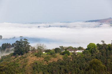 Bulut Misty Vadisi Hills manzara