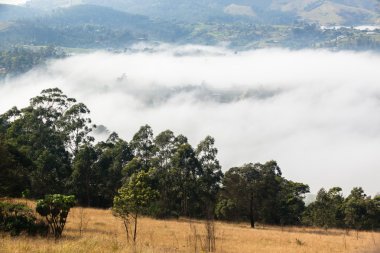 Bulut Misty Vadisi Hills manzara