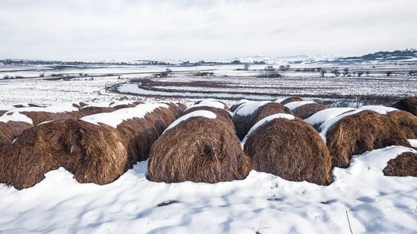 Inverno Montanha Fazenda Animal Grama Alimentar Fardos Cobertos Neve Lado — Fotografia de Stock