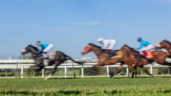 Wyścigi Konne Zbliżenie Prędkość Ruchu Rozmycie Nierozpoznawalne Dżokeje Konie Trawiastej — Zdjęcie stockowe