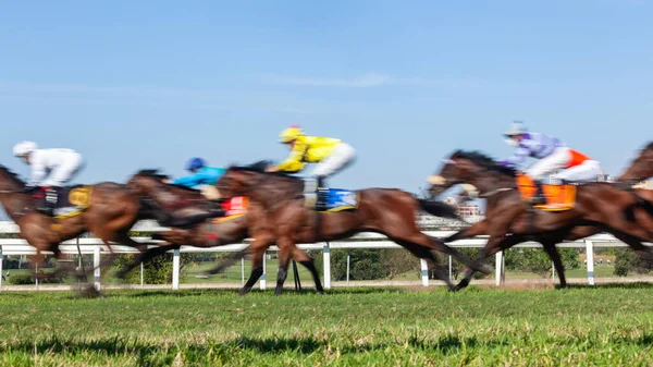 Corrida Cavalos Closeup Movimento Velocidade Borrão Irreconhecível Jockeys Cavalos Relva — Fotografia de Stock