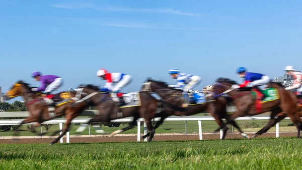 Carreras Caballos Primer Plano Velocidad Movimiento Desenfoque Jinetes Irreconocibles Caballos — Foto de Stock