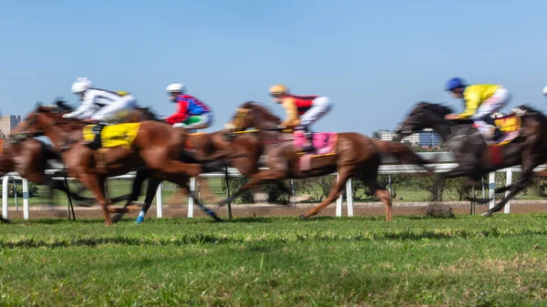 競馬クローズアップの動き速度は 認識できないジョッキーや草の芝生のトラック上の馬をぼかす乗馬アクションを実行している写真のパノラマ画像 — ストック写真