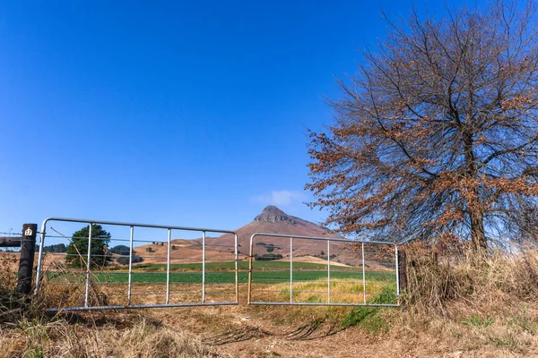 Dirt Road Route Panoramic Photo Image Midlands Natal Way Dargle — Stock Photo, Image