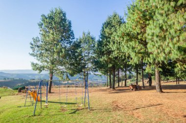 Çocuk parkı sallanıyor ve uzak dağlardaki çam ağaçları arasında kayıyor. Birkaç aile tatili için vahşi doğa gezileri, keşifler ve yürüyüşler..