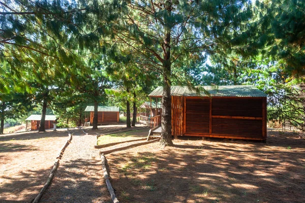 Small Wood Cabins Four Structures Pine Trees Remote Mountains Wilderness — Stock Photo, Image