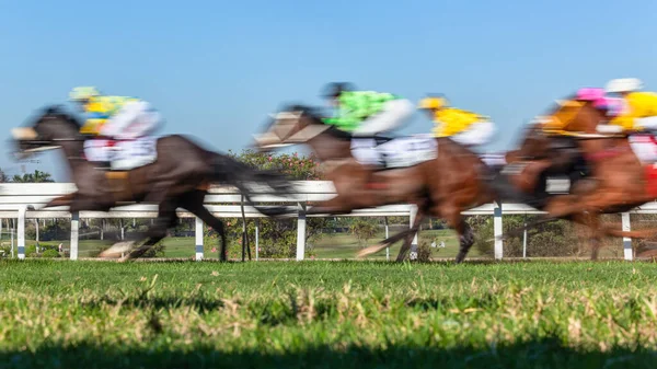 競馬アクション馬草の芝生のトラック上で実行されているジョッキーを閉じる動き速度ぼかし写真の画像青い空 — ストック写真