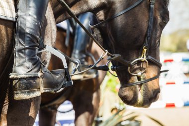 equestrain at atlama