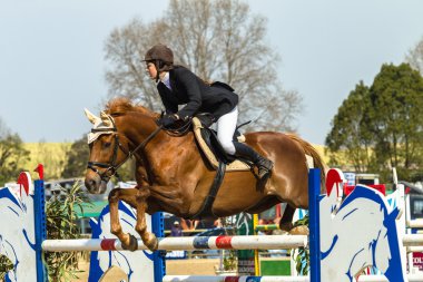 equestrain at atlama