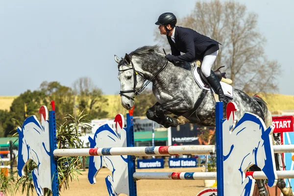 Équitation cheval saut d'obstacles — Photo