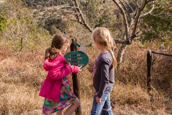 Chicas jóvenes explorando la reserva natural — Foto de Stock