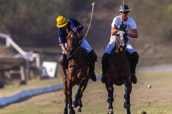 Equitazione equestre — Foto Stock