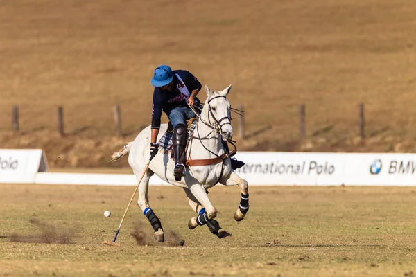 Paardensport Paardrijden — Stockfoto