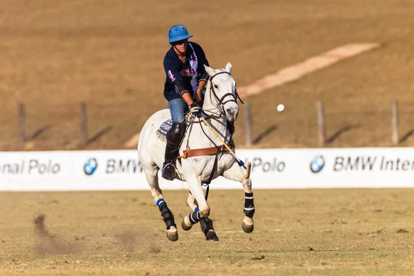 Equestrian Horse Riding — Stock Photo, Image