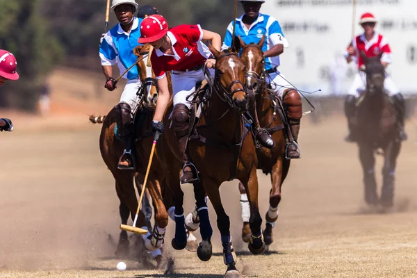 Paardensport Paardrijden — Stockfoto