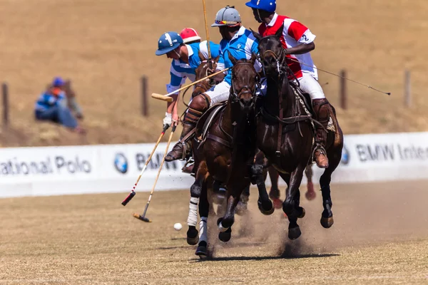 Equitación ecuestre — Foto de Stock