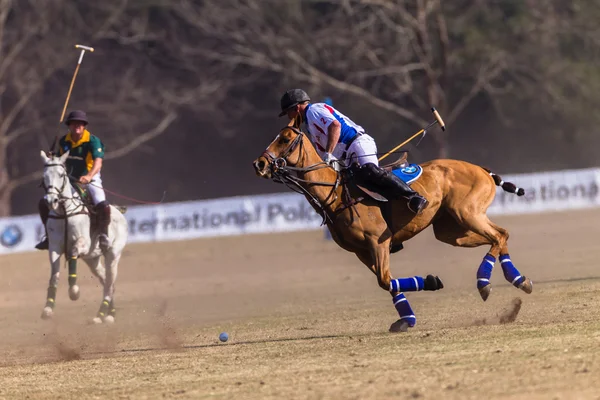 Paardensport Paardrijden — Stockfoto