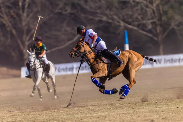 Equestrian Horse Riding — Stock Photo, Image