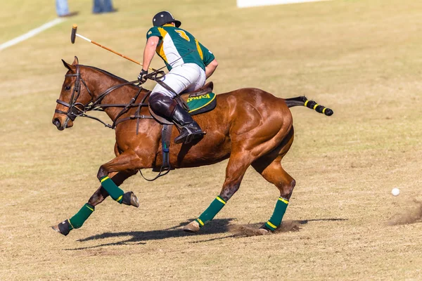 Equitación ecuestre — Foto de Stock