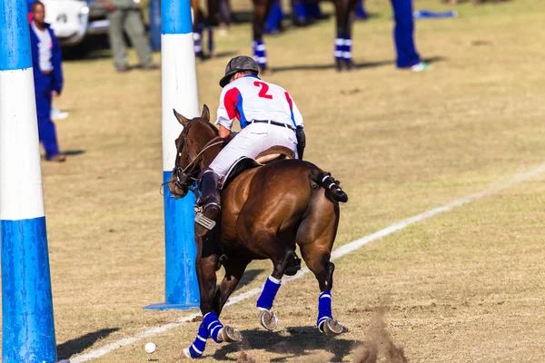 Equitación ecuestre — Foto de Stock