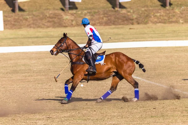 Équitation Équitation — Photo