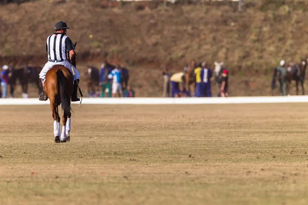 Paardensport Paardrijden — Stockfoto