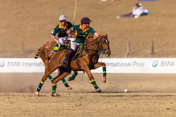 Paardensport Paardrijden — Stockfoto