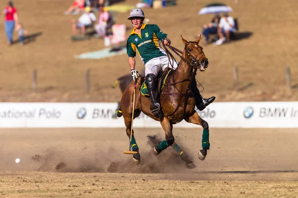 Equestrian Horse Riding — Stock Photo, Image