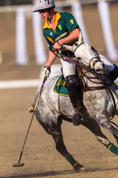 Equestrian Horse Riding — Stock Photo, Image