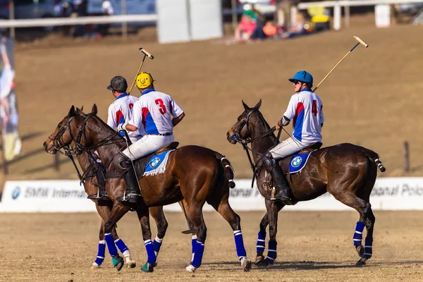 Equestrian Horse Riding — Stock Photo, Image