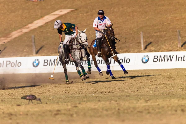 Equitación ecuestre — Foto de Stock