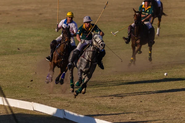 Equitación ecuestre — Foto de Stock