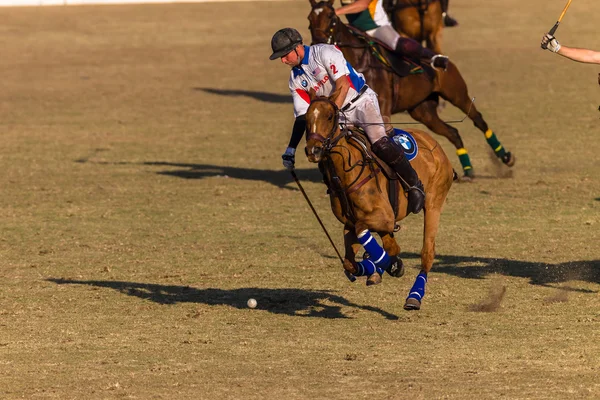 Paardensport Paardrijden — Stockfoto