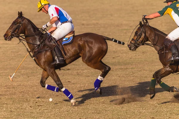 Paardensport Paardrijden — Stockfoto
