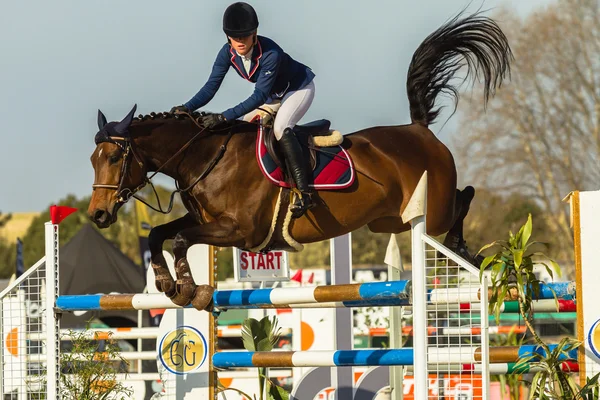 Equestrain Horse Show Jumping — Stock Photo, Image