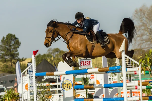 Equestrain Horse Show Saltar —  Fotos de Stock