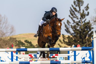 equestrain at atlama