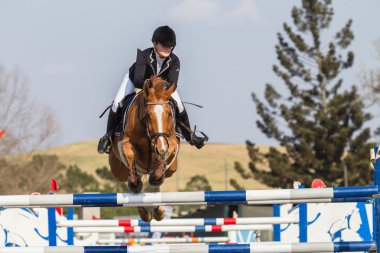 equestrain at atlama