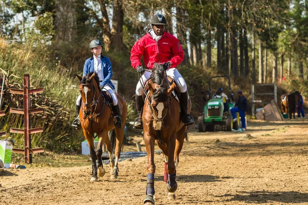 Equestrain hest show hoppe - Stock-foto