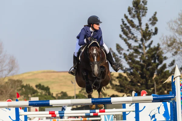 Equestrain Horse Show Jumping — Stock Photo, Image