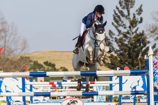 Equestrain Horse Show Jumping — Stock Photo, Image