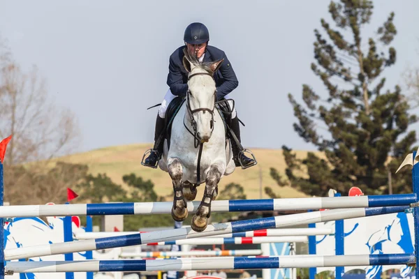 Equestrain paard springconcours — Stockfoto