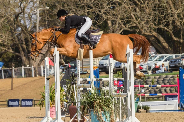 Équitation cheval saut d'obstacles — Photo