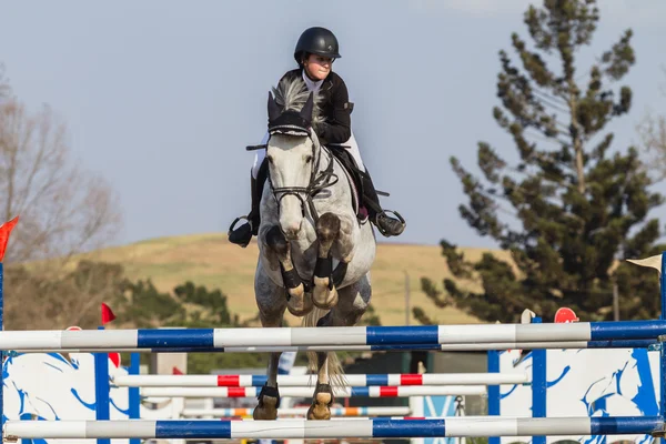 Equestrain Horse Show Jumping — Stock Photo, Image