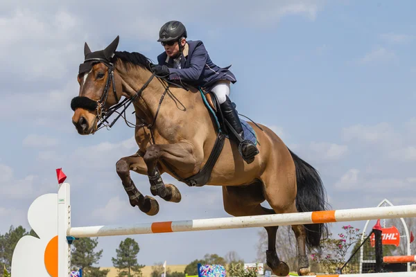 Equestrain at atlama — Stok fotoğraf