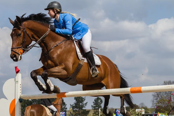 Équitation cheval saut d'obstacles — Photo