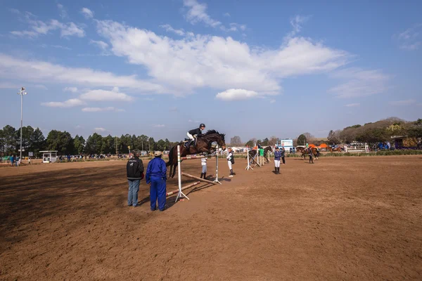 Equestrain at atlama — Stok fotoğraf