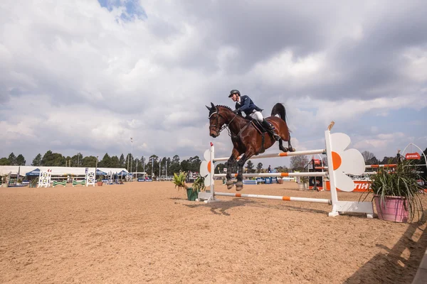 Équitation cheval saut d'obstacles — Photo